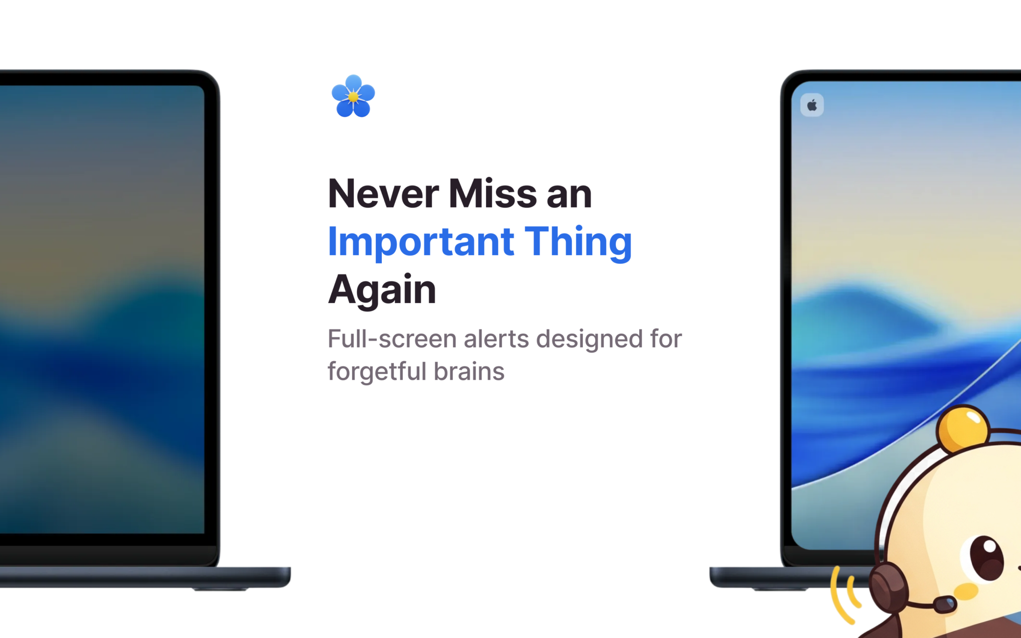 Chime - Remember Everything-img2